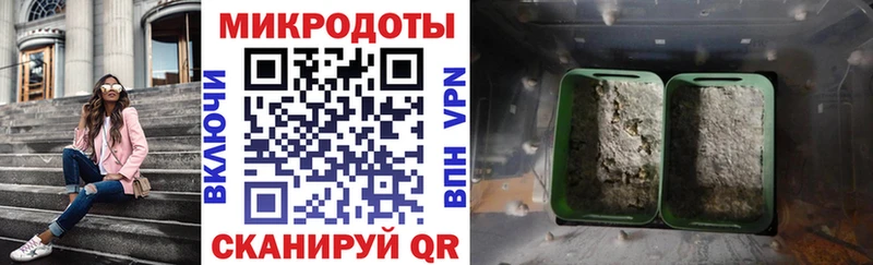 Псилоцибиновые грибы мицелий  Сурск 